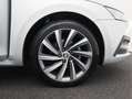 Skoda Octavia Combi 1.5 TSI First Edition/ lage km/ zeer mooi! Gris - thumbnail 21