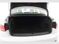 Audi A4 2.0TDI 110kW Blanco - thumbnail 8