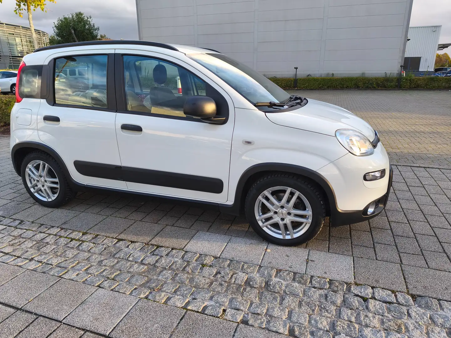 Fiat Panda Panda 1.0 GSE Hybrid City Life/38 Tkm/Sitzhzg+PDC Blanc - 2