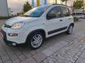 Fiat Panda Panda 1.0 GSE Hybrid City Life/38 Tkm/Sitzhzg+PDC Weiß - thumbnail 9