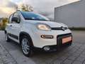 Fiat Panda Panda 1.0 GSE Hybrid City Life/38 Tkm/Sitzhzg+PDC Blanc - thumbnail 23