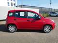 Fiat Panda HYBRID 1.0 GSE 70PS PDC CITY PAKET RADIO 5-SITZER Rood - thumbnail 3