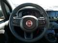 Fiat Panda HYBRID 1.0 GSE 70PS PDC CITY PAKET RADIO 5-SITZER Rood - thumbnail 11