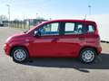 Fiat Panda HYBRID 1.0 GSE 70PS PDC CITY PAKET RADIO 5-SITZER Rood - thumbnail 7