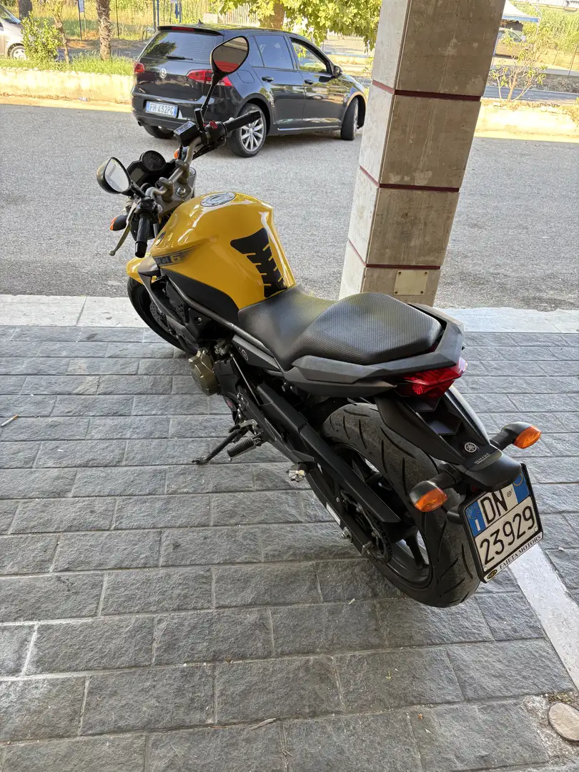 Yamaha XJ 6 Giallo - 2