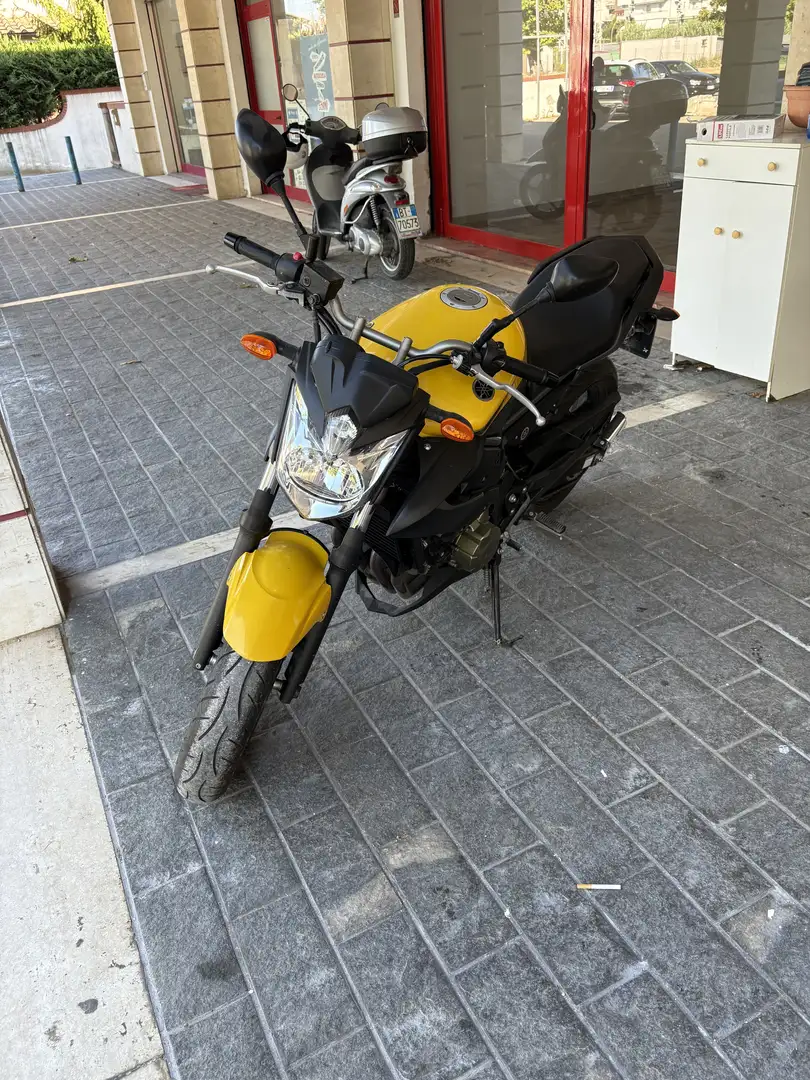Yamaha XJ 6 Giallo - 1