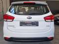 Kia Carens Carens 2014 1.7 crdi Cool 115cv 5p Bianco - thumbnail 5