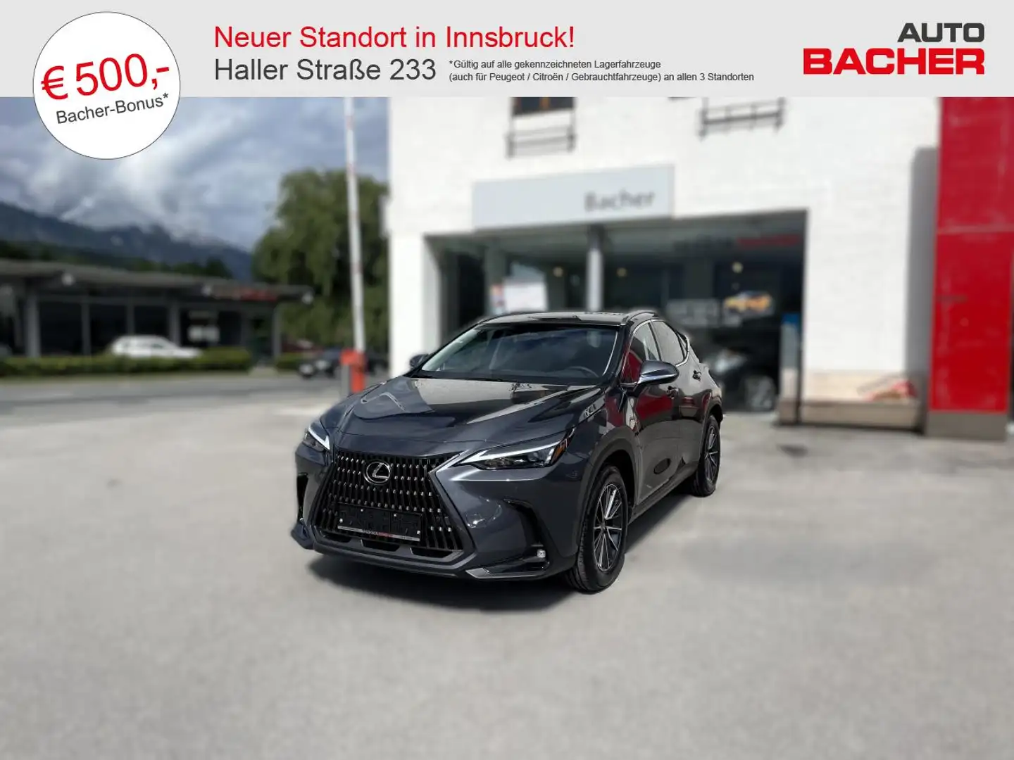 Lexus NX 350h FWD Business Line Gris - 1