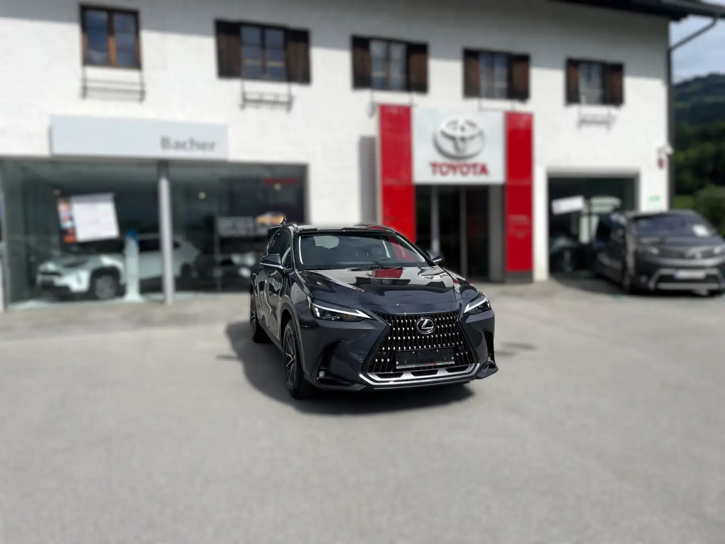 Lexus NX 350h FWD Business Line Gris - 2