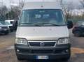 Fiat Ducato MINIBUS 14 Posti Benzina / Metano 2.0 Grigio - thumbnail 6