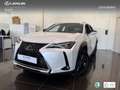 Lexus UX 250h Premium 2WD Bianco - thumbnail 1