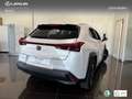 Lexus UX 250h Premium 2WD Bianco - thumbnail 2