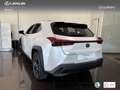 Lexus UX 250h Premium 2WD Bianco - thumbnail 14