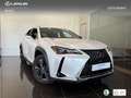 Lexus UX 250h Premium 2WD Bianco - thumbnail 12