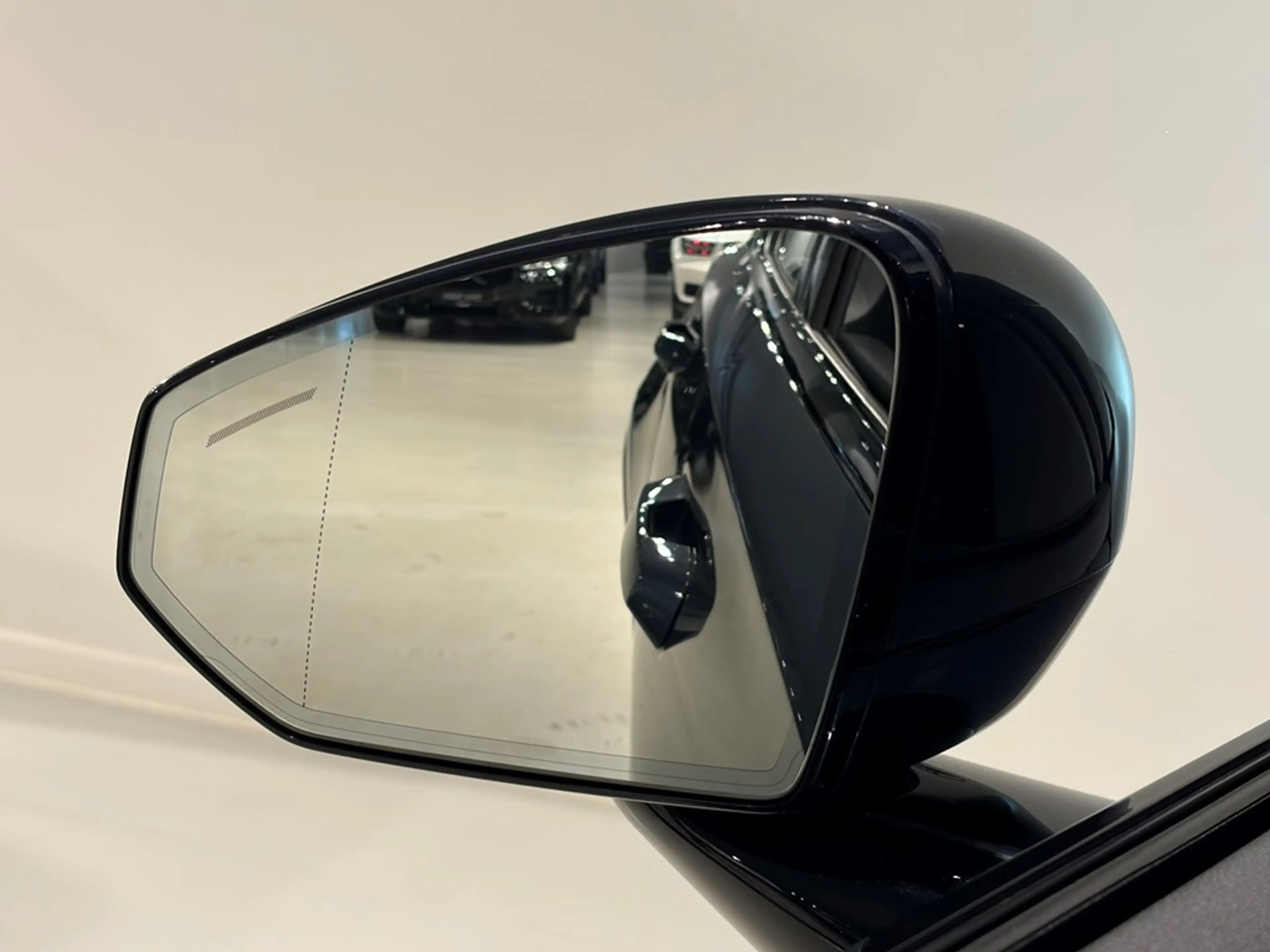 Polestar 2 Long Range Dual Motor Performance + electr trekhaa — photo 6