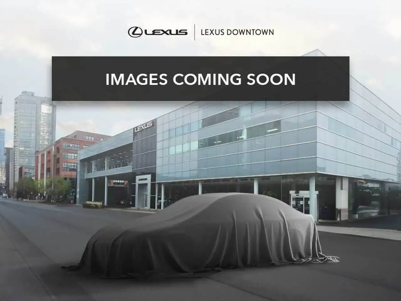 2019 Lexus LX