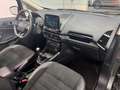 Ford EcoSport ST-Line 1.0 EcoBoost+KAMERA+ALCANTARA+ Gris - thumbnail 14