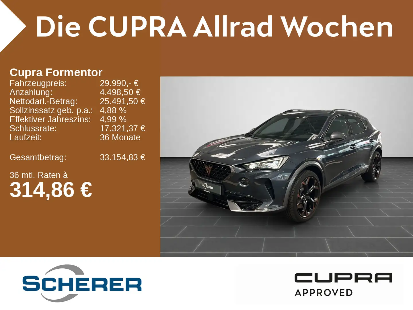 CUPRA Formentor VZ 2.0 TSI 4Drive DSG CarPlay Rückfahr Gris - 1