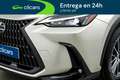 Lexus NX 300 300h Business 2WD Gris - thumbnail 10