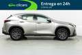 Lexus NX 300 300h Business 2WD Gris - thumbnail 7