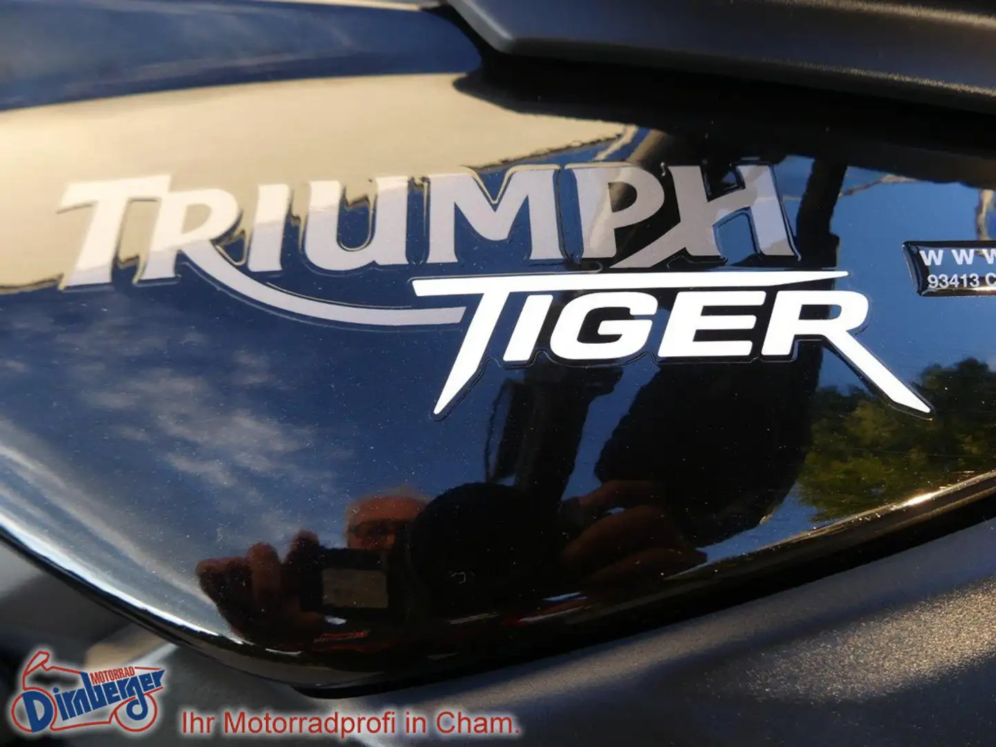 Triumph Tiger 800 + Koffer + Topcase + Remus Negru - 2