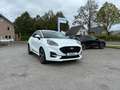 Ford Puma ST-Line ,Kamera,Navi,Winter-P.,5J. Garantie Blanc - thumbnail 1