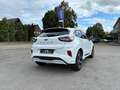 Ford Puma ST-Line ,Kamera,Navi,Winter-P.,5J. Garantie Blanc - thumbnail 4