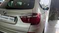 BMW X3 xdrive20d Futura Oro - thumbnail 14