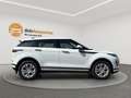 Land Rover Range Rover Evoque R-Dynamic Basis LED/KLIMA/RFK/LANE/PDC/TEMPOMAT Weiß - thumbnail 8