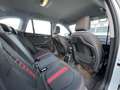 BMW X1 xDrive18d Sport Line Aut. Weiß - thumbnail 12