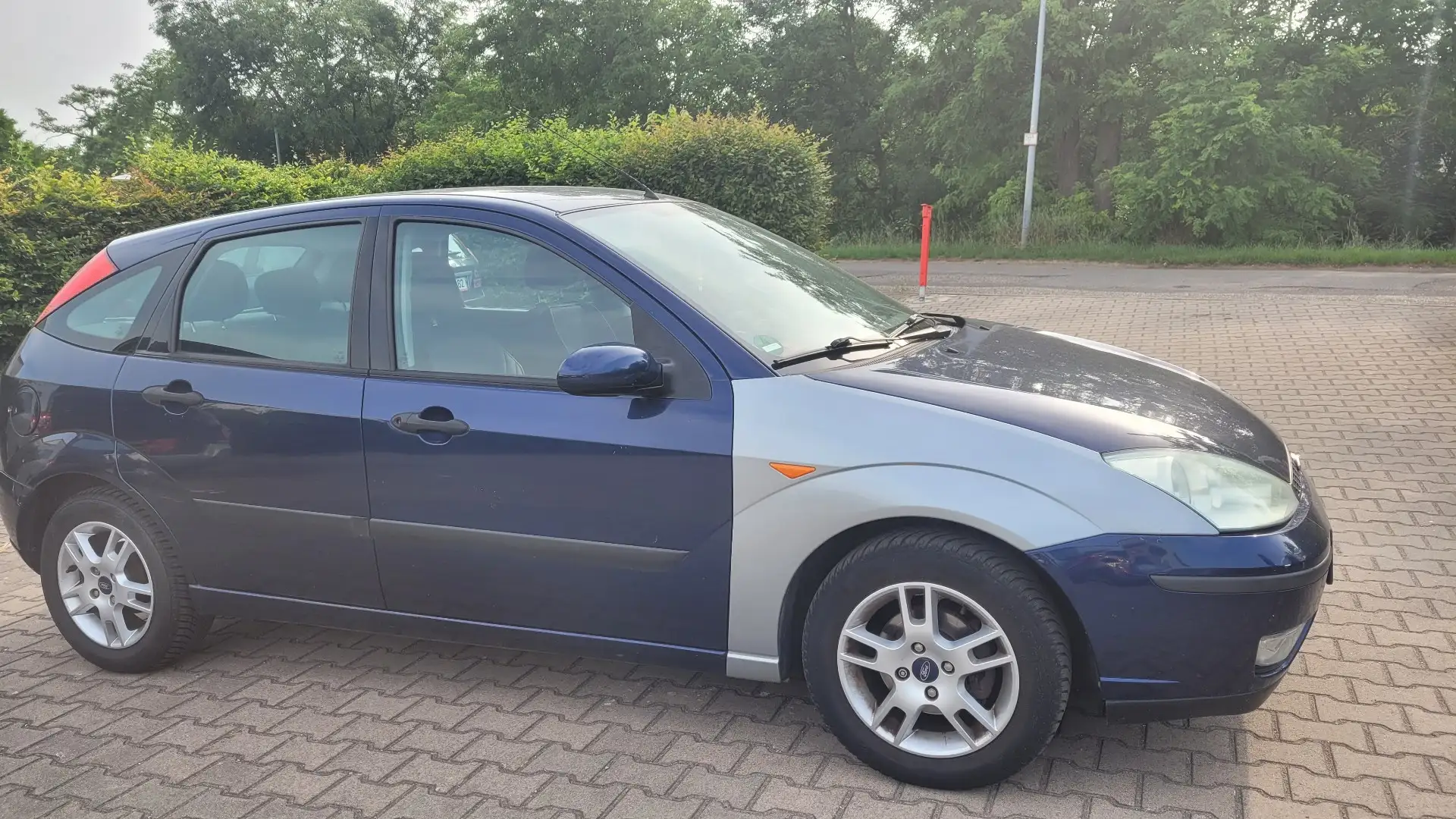 Ford Focus - 1