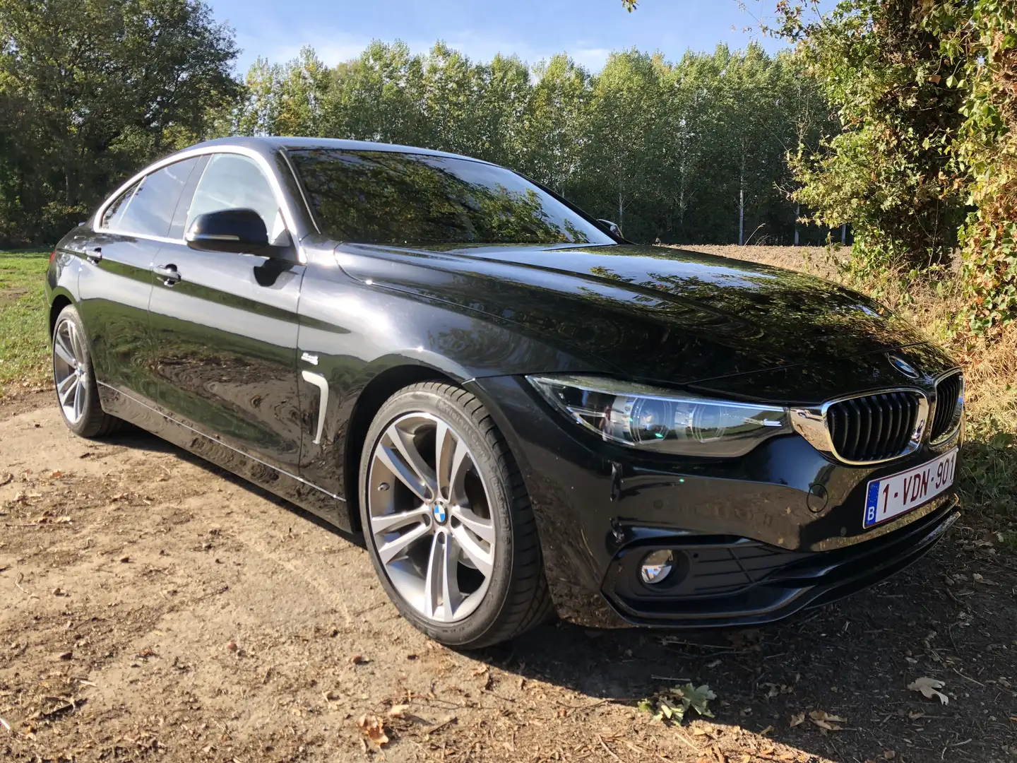 BMW 420 420d Gran Coupe Aut. Sport Line - 2