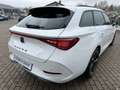 CUPRA Leon 2.0 TSI DSG ACC FaPa-L KAMERA KESSY Weiß - thumbnail 4