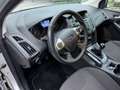 Ford Focus 1.6 125 CV SW Titanium neopatentati Grau - thumbnail 6