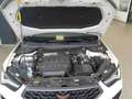 CUPRA Ateca VZ 2.0 TSI DSG 4Drive SHZ+NAVI+CARPLAY+PDC Klima Weiß - thumbnail 14