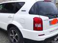 SsangYong Rexton 2.2 d Plus 4wd 7p.ti Alb - thumbnail 3