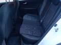 Kia Stonic Stonic 1.4 MPi 97cv Style Adas Pack my18 Bianco - thumbnail 22