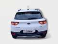Kia Stonic Stonic 1.4 MPi 97cv Style Adas Pack my18 Bianco - thumbnail 4