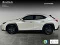 Lexus UX 250h Business 2WD Biały - thumbnail 3