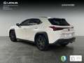 Lexus UX 250h Business 2WD Blanc - thumbnail 2