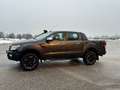 Ford Ranger XLT Doppelkabine 4x4 Höherlegung Luftschnorchel Gris - thumbnail 9