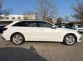 Audi A4 Avant 40 TDI quattro advanced ACC Lane ViCo Weiß - thumbnail 6