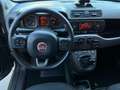 Fiat Panda Panda 1.0 hybrid City Life *PROMO* Argent - thumbnail 9