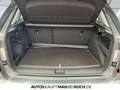Skoda Kamiq Tour 1.0 TSI DSG ACC BLACK Totwinkel LED Grau - thumbnail 14