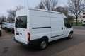Ford Transit Kasten FT 280 M City Light Weiß - thumbnail 5