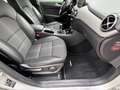 Mercedes-Benz B 180 Sport-Tourer/Bi-Xenon/Sitzheizeung/PDC/6-G Silber - thumbnail 17