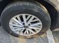 Volkswagen T-Roc 1.0 tsi life 110cv Beige - thumbnail 17