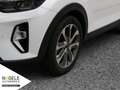 Kia Stonic Stonic 1.0 T-GDI Spirit|Navi+LED+SHZ+LHZ+Carplay Weiß - thumbnail 13
