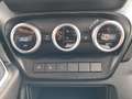 Iveco Daily Daily 35C21A8 Zwillingsräder - VOLL Grau - thumbnail 19