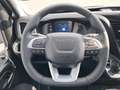 Iveco Daily Daily 35C21A8 Zwillingsräder - VOLL Grau - thumbnail 12